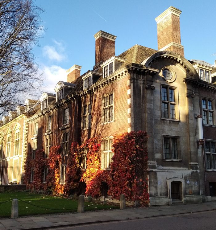 The Art of Drawing Readers In: Your attractive post title goes here Beautiful ivy-covered building in Cambridge, UK, during fall with vibrant autumn foliage.